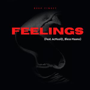Feelings (feat. AcMusiQ & Bless Maano)