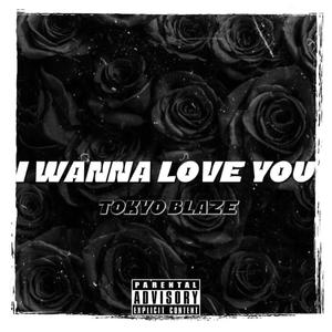 I Wanna Love You (Explicit)