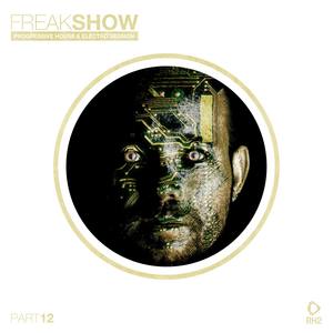 Freak Show, Vol. 12 - Progressive House & Electro Session