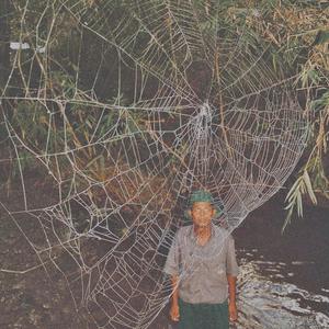 love beams (feat. Timothy Bright & awfulmane) (Explicit)