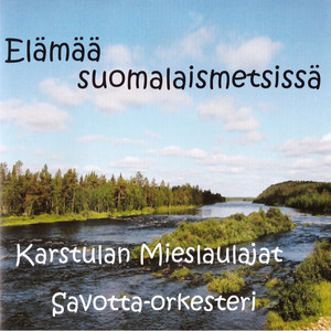 Elämää suomalaismetsissä