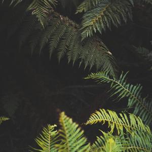 Looking For (Explicit)