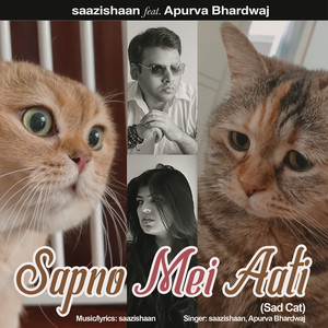 Sapno Mei Aati (Sad Cat)