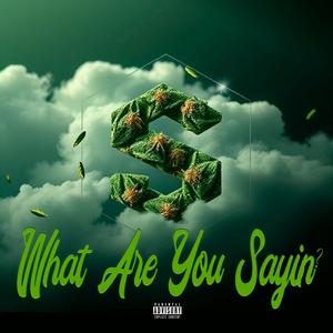 What are you Sayin (Explicit)