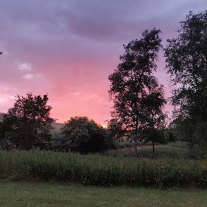 Caja De Música(Ángulo Dorado)
