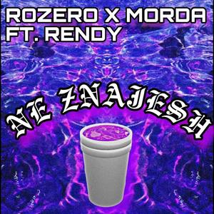 NE ZNAJESH (feat. RENDY) [Explicit]