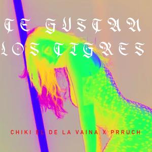 TE GUSTAN LOS TIGRES (feat. CHIKI EL DE LA VAINA & PRRUCH)