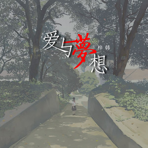 爱与梦想
