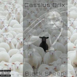 Black Sheep (Explicit)