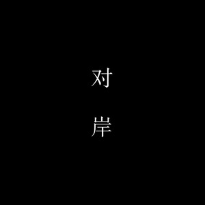 对岸