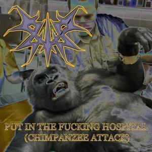 Put In The ******* Hospital (Chimpanzee Attack)