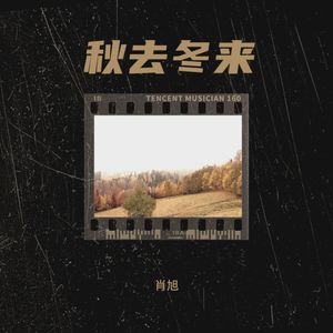忘了你忘了我