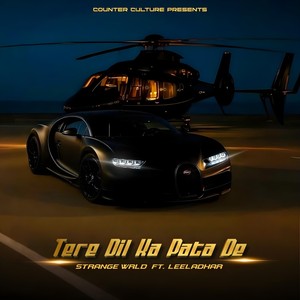 Tere Dil Ka Pata De (feat. Leeladhar)