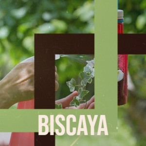 Biscaya