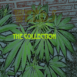 Weeds The Collection