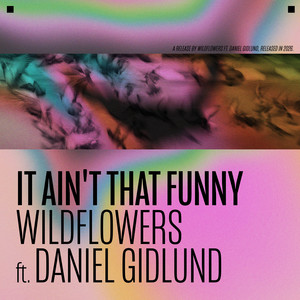 It Ain't That Funny (Explicit)
