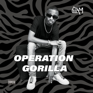 Operation Gorilla