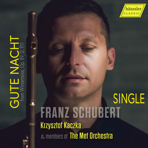 Winterreise, Op. 89, D. 911 (Arr. for Flute & String Quintet by Anonymous) - Winterreise, Op. 89, D. 911 (Arr. for Flute & String Quintet by Anonymous)