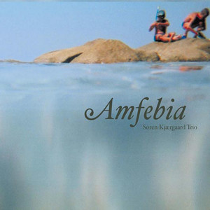 Amfebia