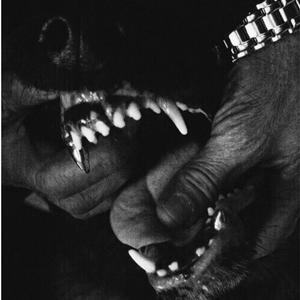 Rottweiler (Instrumental Slowed)