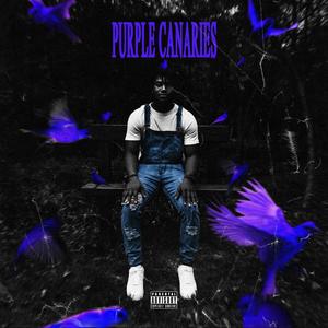 Purple Canaries (Explicit)