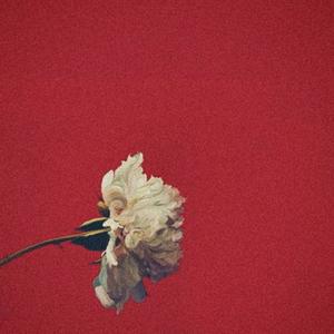 RIGHT NOW (feat. Way2Savage, Mphae, Willard Marley & Bobby Cling)