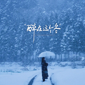 Top兄弟 - 醉在这个冬