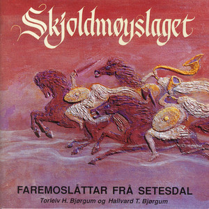 Skjoldmøyslaget