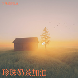 躲不掉的雨封面