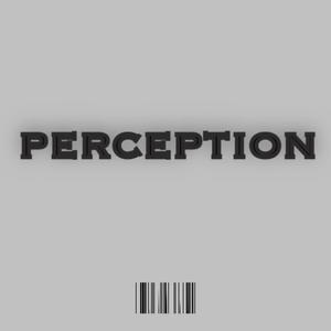 Perception