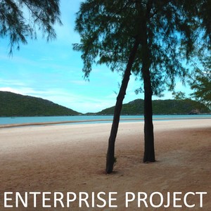 Enterprise Project