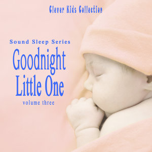 Sound Sleep Series: Goodnight Little One (Clever Kids Collection), Vol. 3