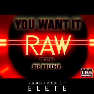 You Want It Raw (Original Version, Clean Edit Vocal)