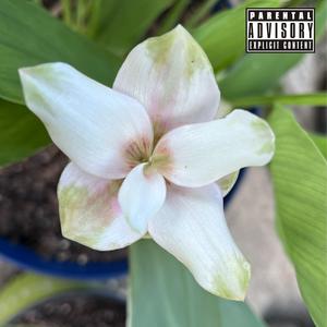 Flower Song (feat. Mace White & Ko Yo) [Explicit]