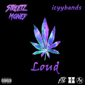 Loud (feat. icyybands) [Explicit]