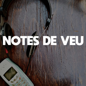 Notes de veu