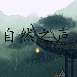 暖雨 (DJ长音频)封面