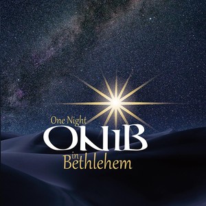 One Night in Bethlehem