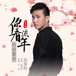 你看流年恰似繁华