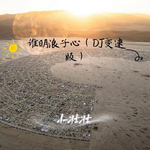 谁明浪子心 (DJ变速版)