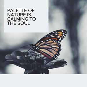 Palette of Nature is Calming to The Soul