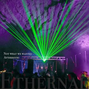 Not What We Wanted (feat. Rebekka.Kat) (Explicit)