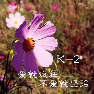 爱你一生一世