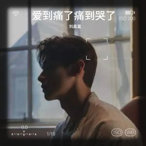 爱到痛了痛到哭了 - 刘昌富封面