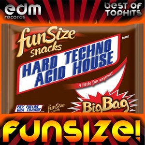 Funsize! (Hard Techno Acid House & Psychedelic Fullon Goa Trance)