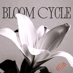 Bloom Cycle (A Jazz Reflection)