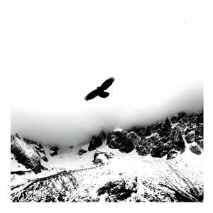 LET GO(feat. NoshusNate)