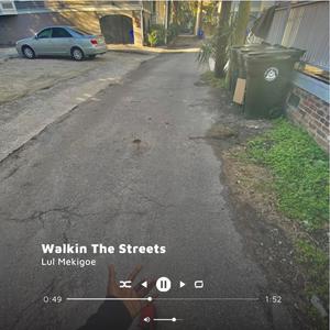 Walkin The Streets (Explicit)