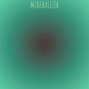 Mineralizer