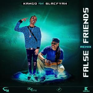 False Friends Remix (feat. BlacFyah)